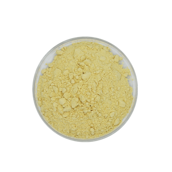 Adapalene (CAS 106685-40-9) - Retinoid Acne Treatment API