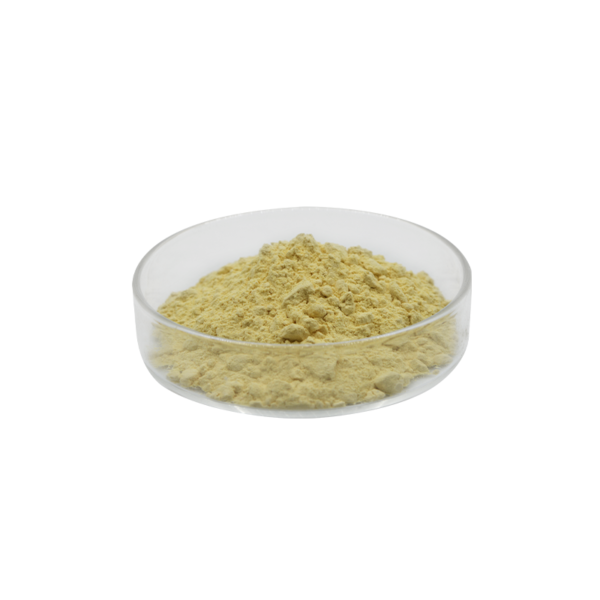 Adapalene (CAS 106685-40-9) - Retinoid Acne Treatment API