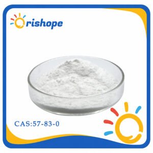 CAS_57-83-0 Progesterone (CAS 57-83-0) - Progestogen API